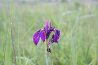 �q�I�E�M�A����